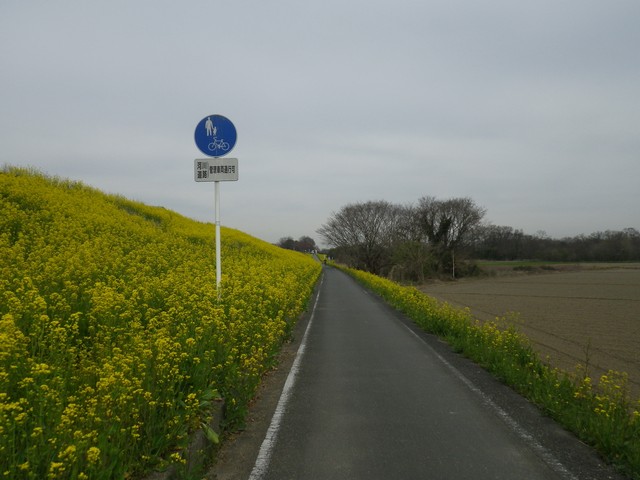 荒川サイクリングロード