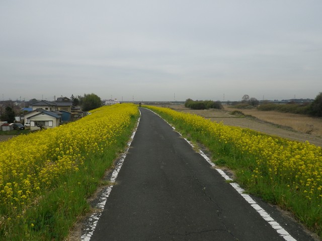 荒川サイクリングロード