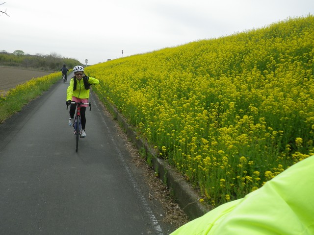 荒川サイクリングロード