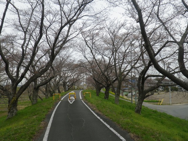 荒川サイクリングロード