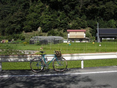 田んぼ