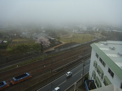 うっ、あまり天気の良くない朝