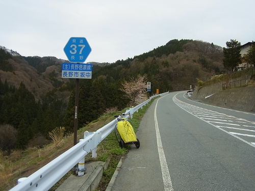 県道37号線