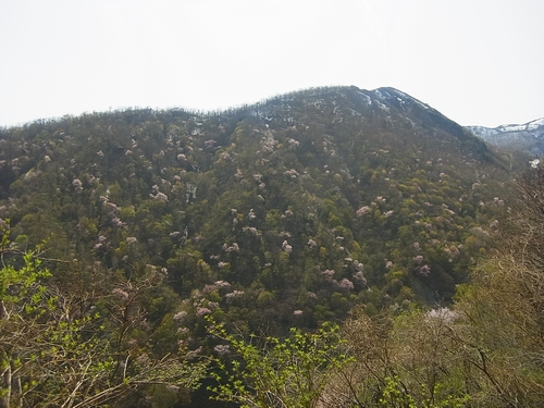 ドンデン山へ向かう