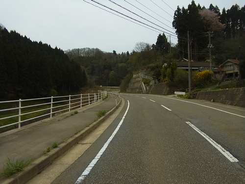 県道181号線