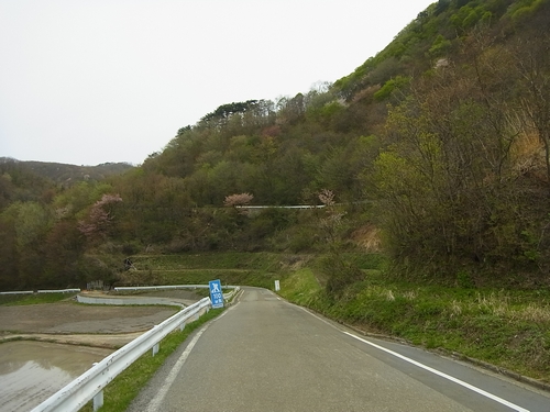 県道181号線