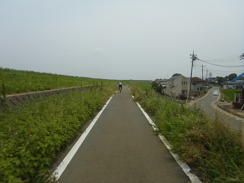 デローザＲ８４８