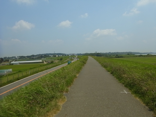 利根川サイクリングロード