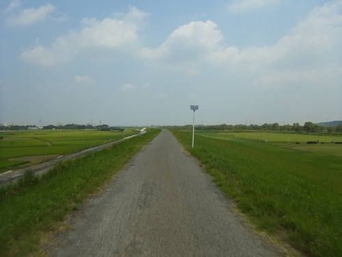 利根川サイクリングロード