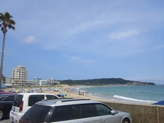 房総半島ツァー2日目:南房総白浜へ
