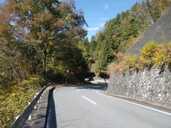 秋の十国峠:国道299号線は通行止め