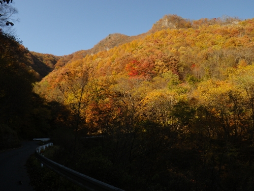 紅葉がきれい