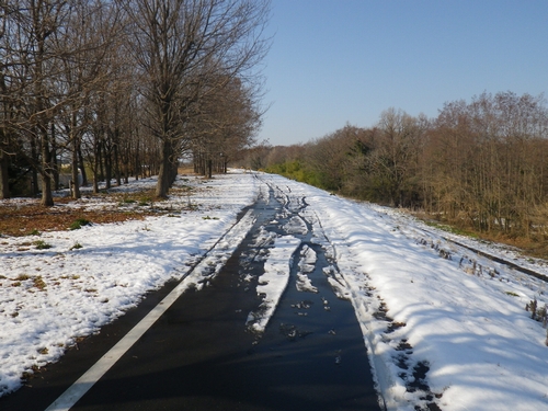 残雪残る荒川自転車道