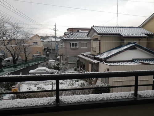 朝起きると積雪