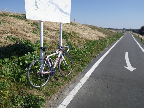 荒川自転車道