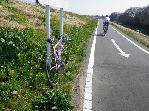 荒川自転車道