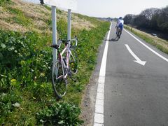 荒川自転車道にも春が