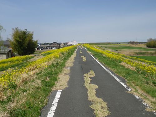 荒川自転車道