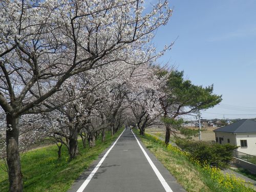 荒川自転車道