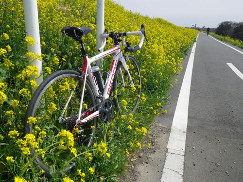 荒川自転車道