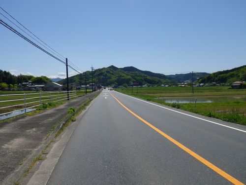 県道