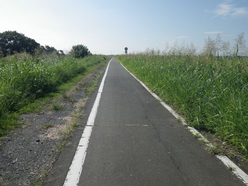 荒川自転車道