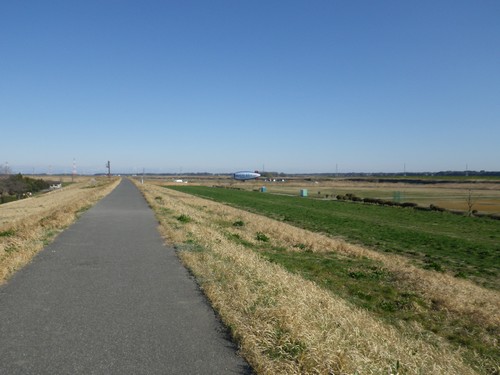 利根川土手