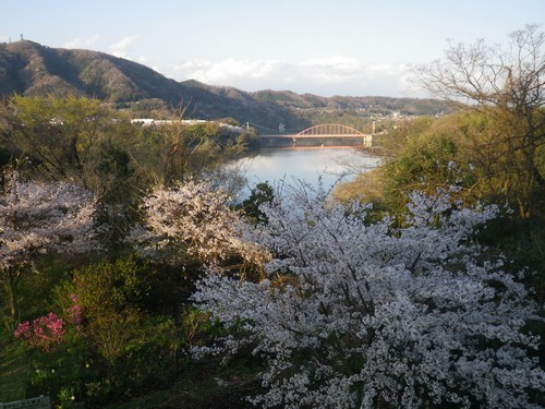 相模湖