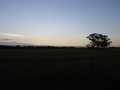 3日目:Katanning→Williams Sports Complex