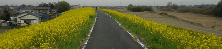 久しぶりの荒川サイクリングロード【長女デビュー】のタイトルイメージ