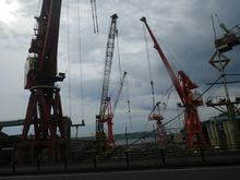 BRM429嘉麻300㎞:完走15時間54分