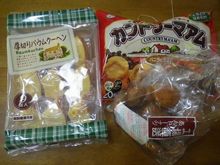 2015PBP準備:装備チェック!持ち物いろいろ【とりあえず持っていくぜ!】