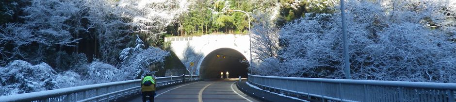 BRM207青葉200km11時間25分（長女デビュー）のタイトルイメージ